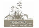 National-Wetlands-Trust-NZ-Sponsors-Arawal-Kakariki-2