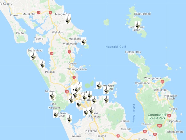 Freedom Camping Auckland Map Wetlands You Can Visit In The Auckland Region - National Wetland Trust Of  New Zealand