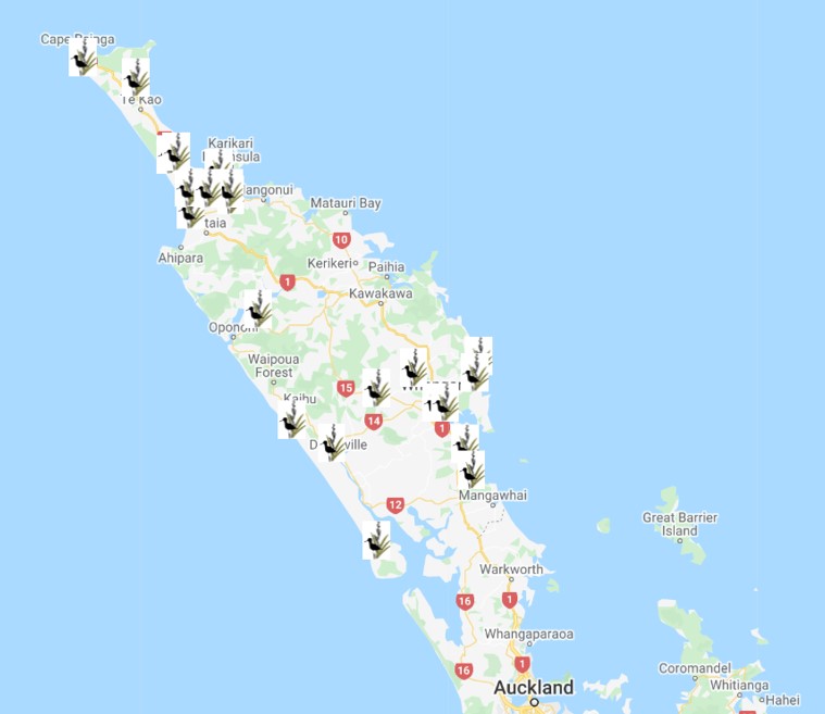 Northland Map With Drive Times Wetlands You Can Visit In The Northland Region - National Wetland Trust Of  New Zealand