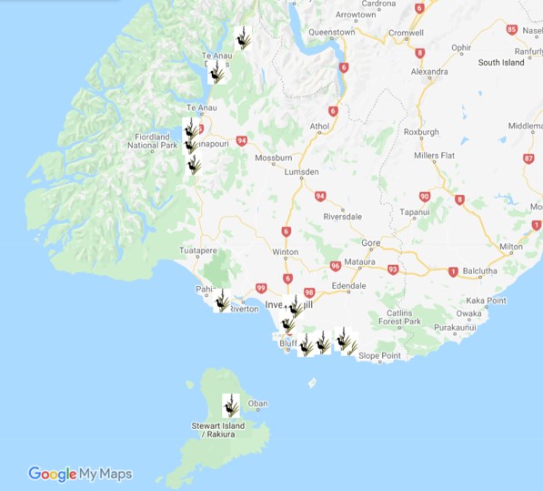Wetlands you can visit in the Southland Region National Wetland Trust