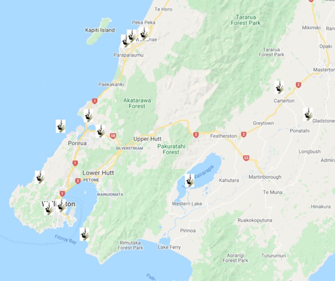Wetlands you can visit in the Wellington Region National Wetland Trust of New Zealand